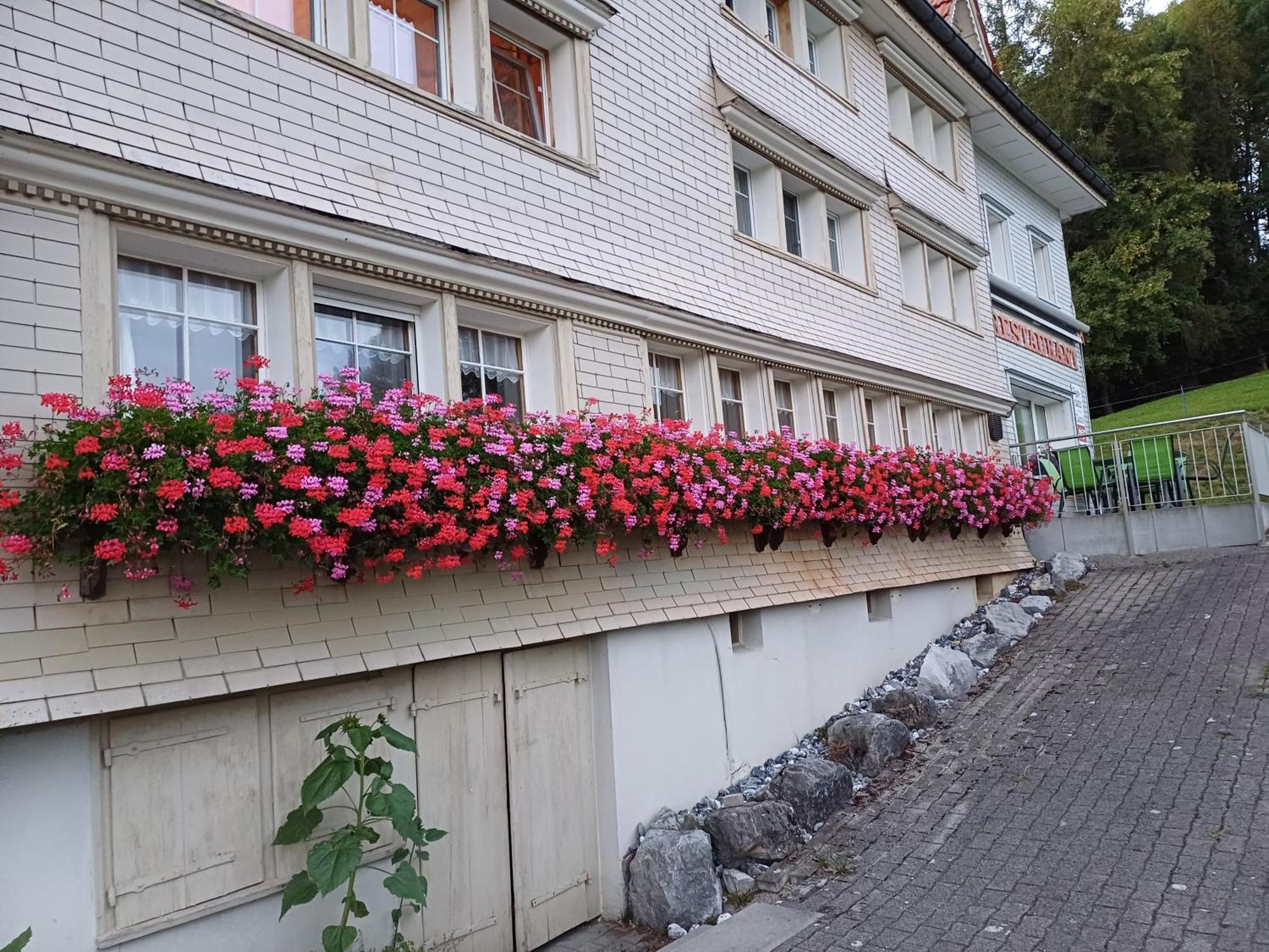 Schwellbrunn,ferienwohnung Mit Saentissicht *