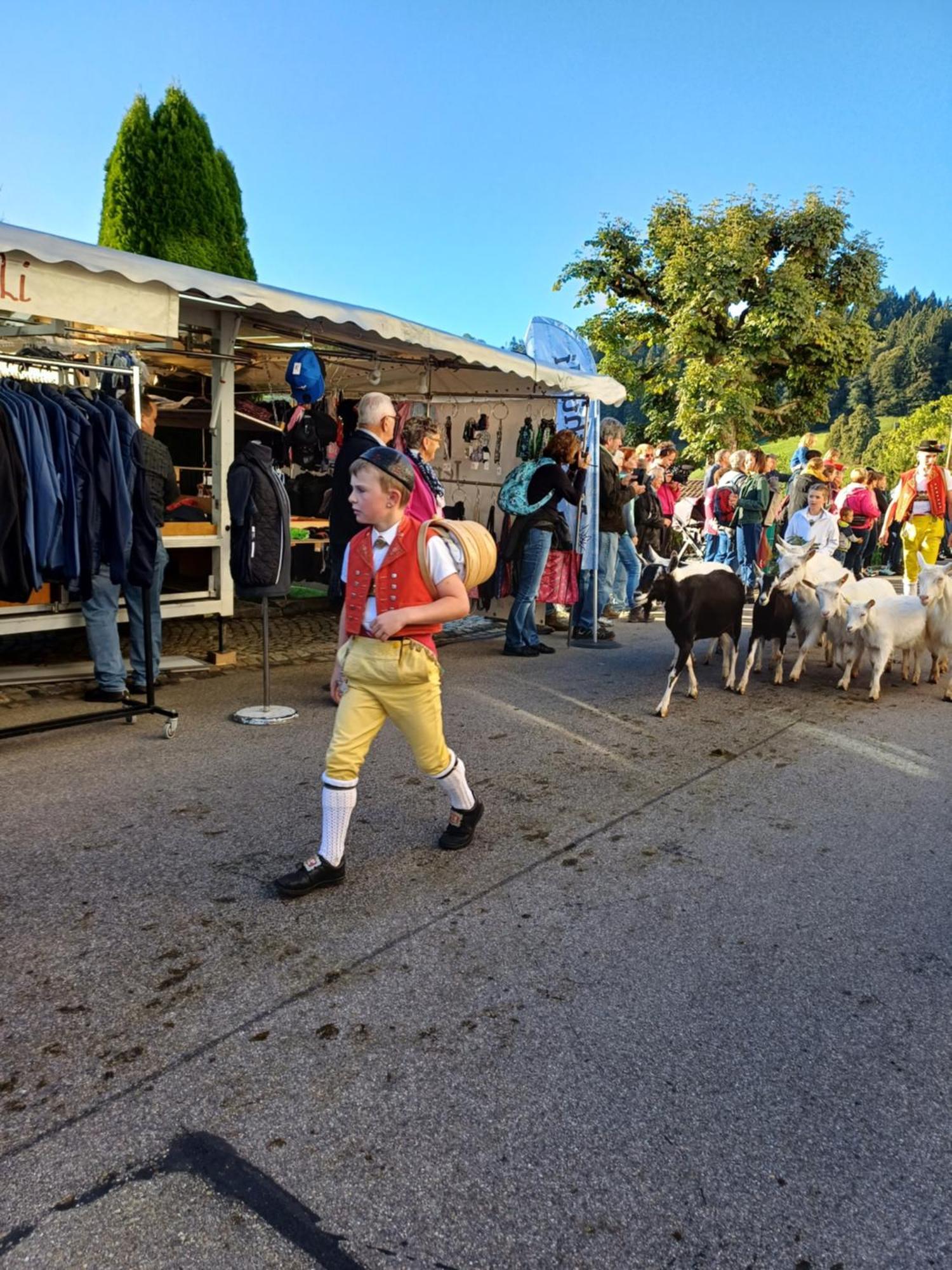 Schwellbrunn,ferienwohnung Mit Saentissicht